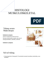 Tulang Histologi
