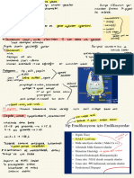 H. Pylori Ve Peptit Ülser