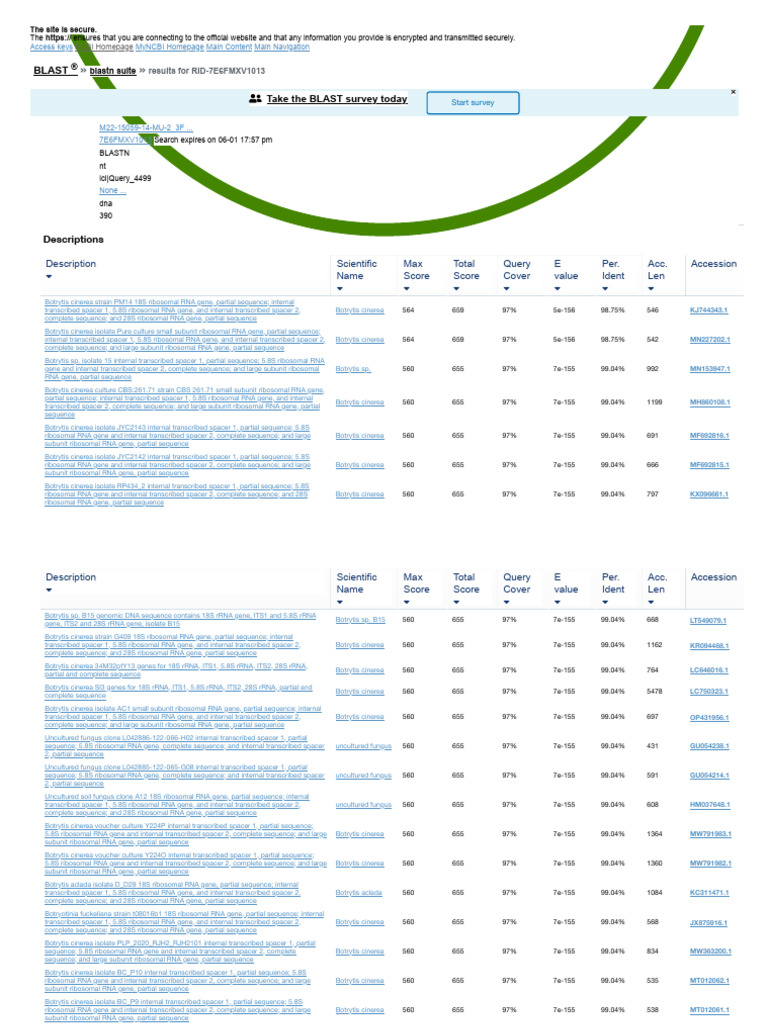 NCBI Blast - M22-15059-14-MU-2 - 3F | PDF | Ribosomal Rna | Rna