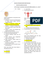 Kunci Latihan Soal Ulangan Akhir Semester Ipa