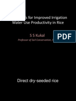 Some RCTs for Improved Irrigation Water Use Productivity in Rice