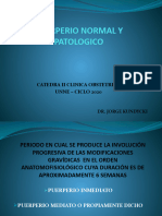 PUERPERIO NORMAL Y PATOLOGICO Jorge Kundycki TP Nro 7