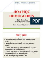 Bài 5. Hoá Học Hemoglobin