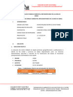 17.00 Informe - Del.plan - De.manejo - Ambiental.implementando - En.la - Zona.de - Obras - Ok