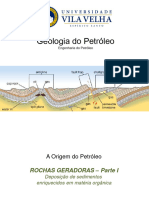 3 - Aula 3 - MatÃ©ria OrgÃ Nica