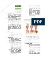 Integumentary System 2