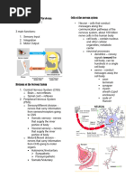 Nervous System Part 1