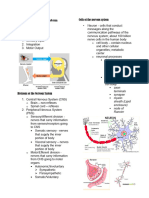 Nervous System Part 1