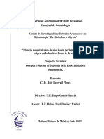 Manejo No Quirúrgico de Una Lesión Periapical Extensa de Ori