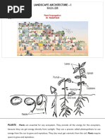 Plant Propagation