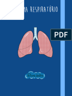 Sistema Respiratório ??