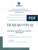 Trabajo Final