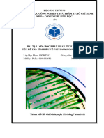(123doc) Tim Hieu Va Phan Tich Pseudomonas Aeruginosa