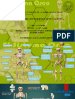 Anatomia Tarea