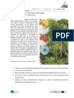 Documento Trabalho 1 - Organização Ecossistema