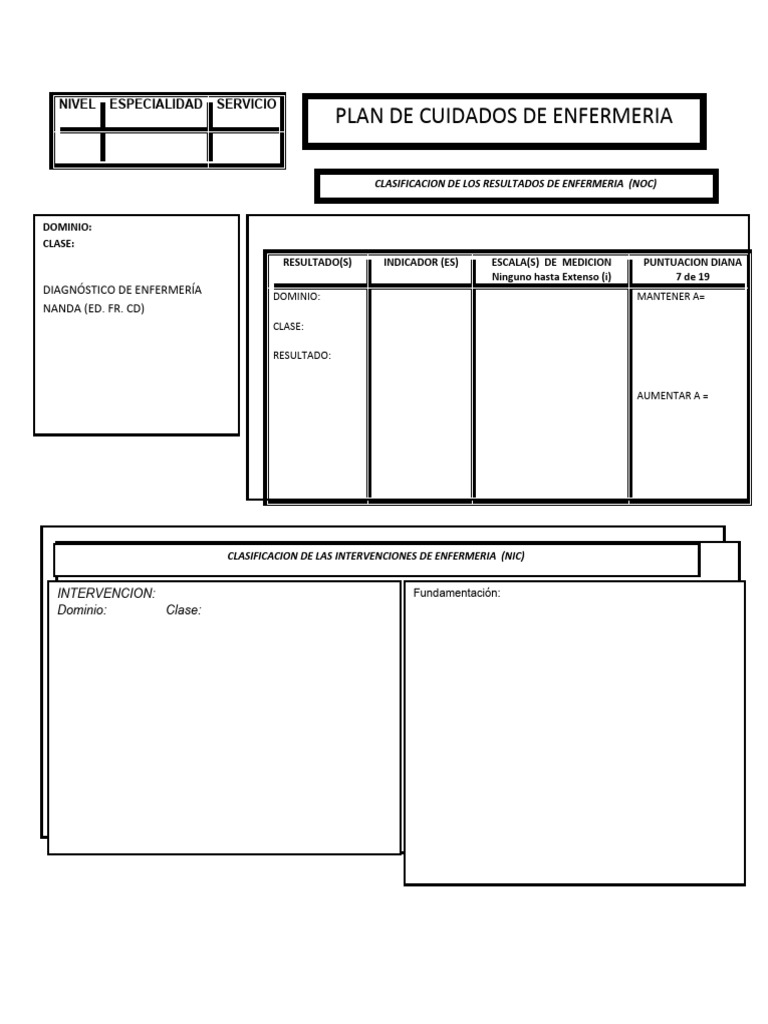 Formato PAE para Enfermería PDF | PDF