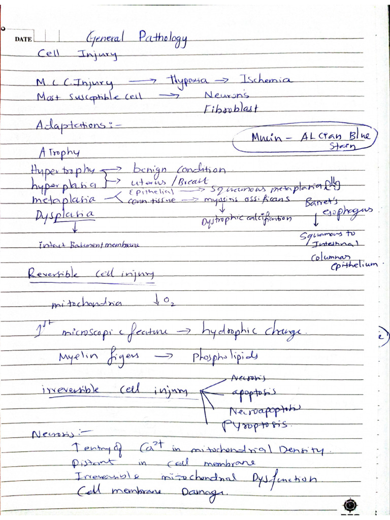 General Pathology Pdf