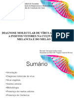Slides TCC PDF
