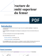 Fracture de L Extremite Superieur Du Femur