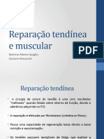 Reparação Tendínea e Muscular Job