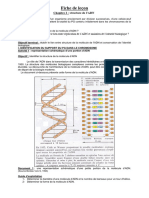 Chap2-Structure de l'ADN