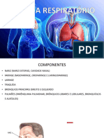 Aula 4 - Sistema Respiratório