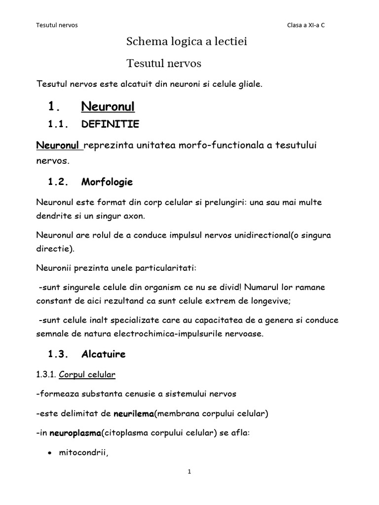 Schema Logica A Lectiei Tesutul Nervos | PDF
