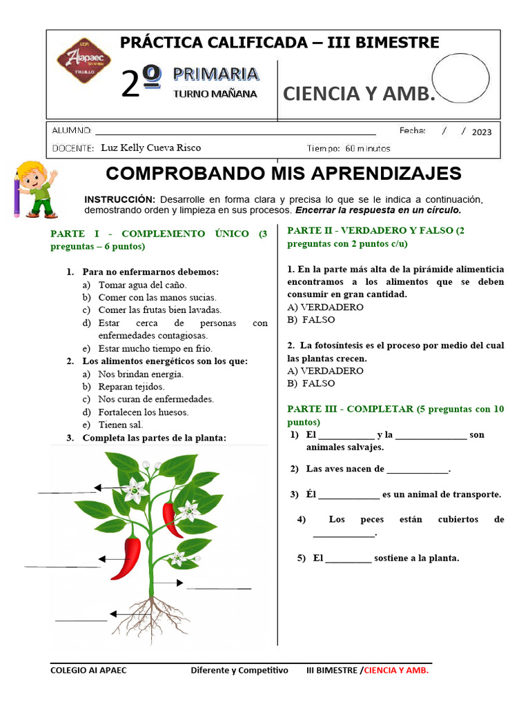Practica Calificada 2do Grado | PDF
