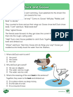 Second Grade Duck and Goose Reading Passage Comprehension Activity