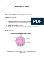 Biology Lab 2 and 3