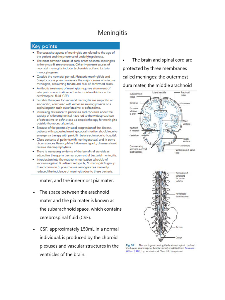 Meningitis 2 | PDF | Meningitis | Cerebrospinal Fluid