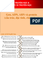 1-Gen, ADN, ARN Protein