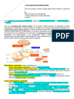 Localización en Neurología