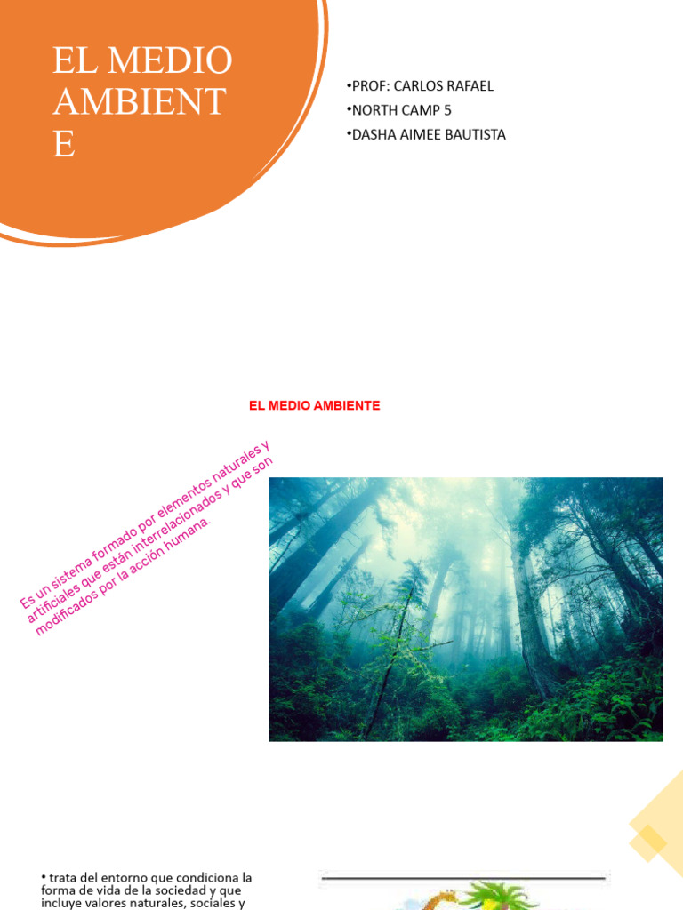 Cuidado del Medio Ambiente Infantil | PDF | Entorno natural | Suelo