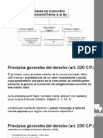 Leg. Cial. Parcial 2