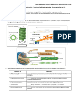 Guía de Estudio Unidad 2 - Parte III Biología Celular