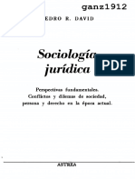 DAVID, PEDRO R. - Sociología Jurídica (OCR) (Por Ganz1912)