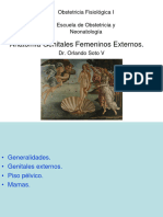 2a. - Morfologia y Fisiologia Genitales Externos