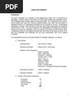 Calatagan Executive Summary 2018