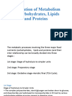 Integration of Metabolism of Carbohydrates, Lipids and Proteins