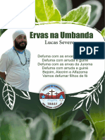 Estudo de Ervas Lucas