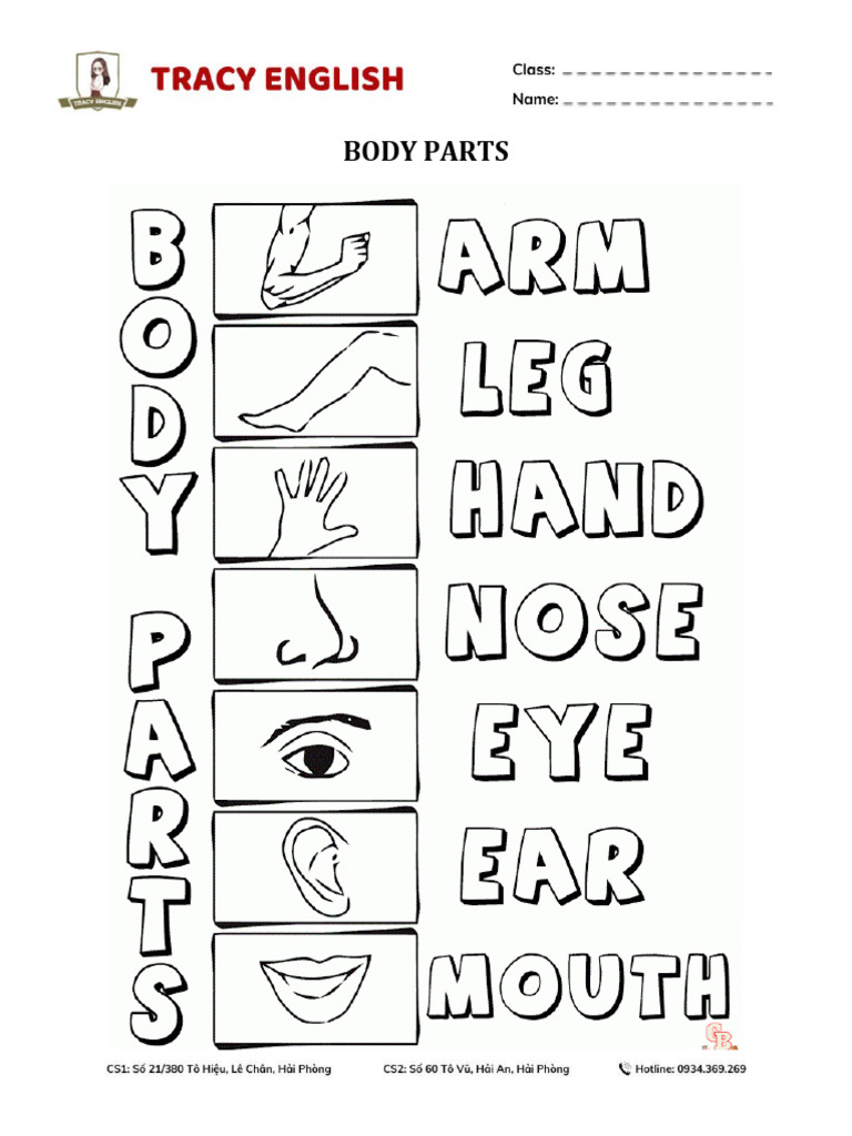 Body Parts | PDF
