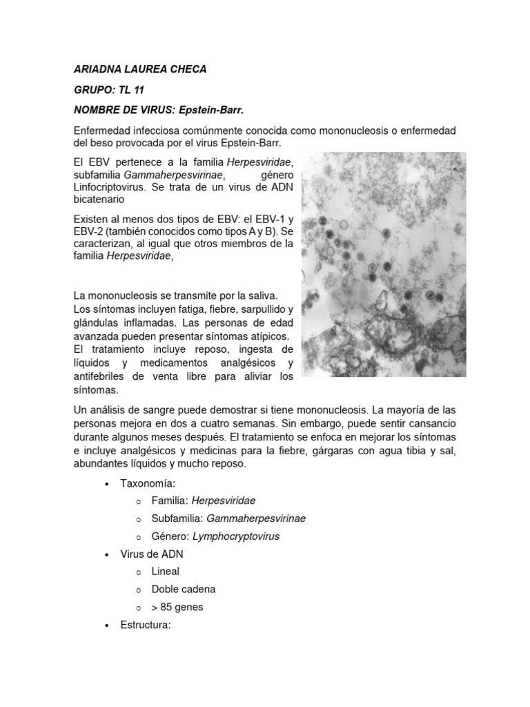 VIRUS Epstein Barr | PDF | Virus | Infección