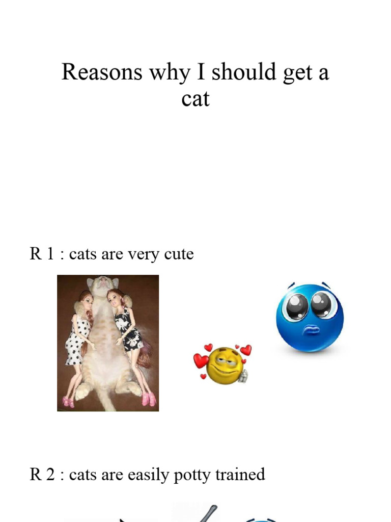 Reasons Why I Should Get A Phone