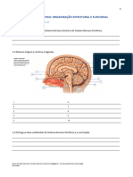 Exercício Geral de Neuroanatomia