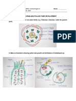 Plate 3 - Fertilization