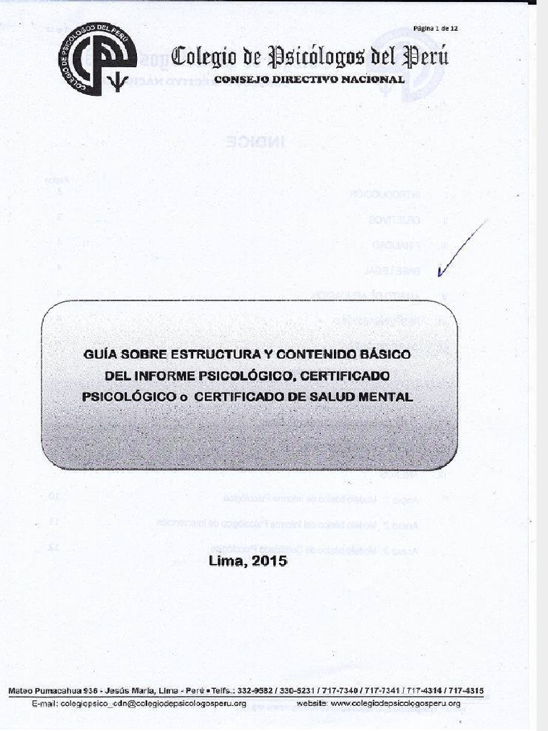 Guía Informe Psicológico CPSP | PDF | Sicología | Salud mental