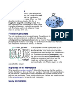 Cell Membranes