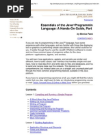 Download Java Programming Language Basics by api-3766349 SN6890189 doc pdf