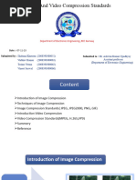 Image and Video Compression Standards.4